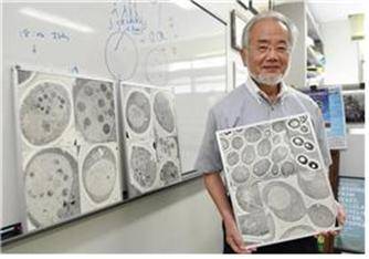 자가포식 현상의 매커니즘 연구로 2016년 노벨생리의학상을 수상한 오스미 요시노리 교수 